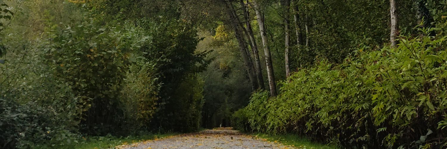 LeoXG_'s profile banner image