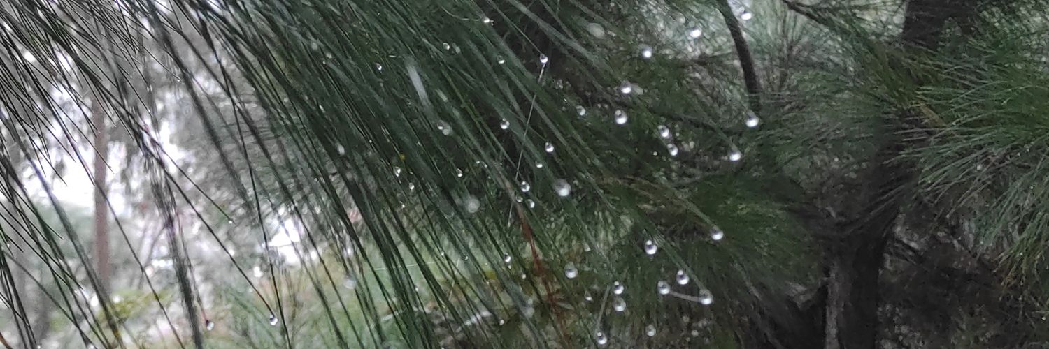 EdwardCM77's profile banner image