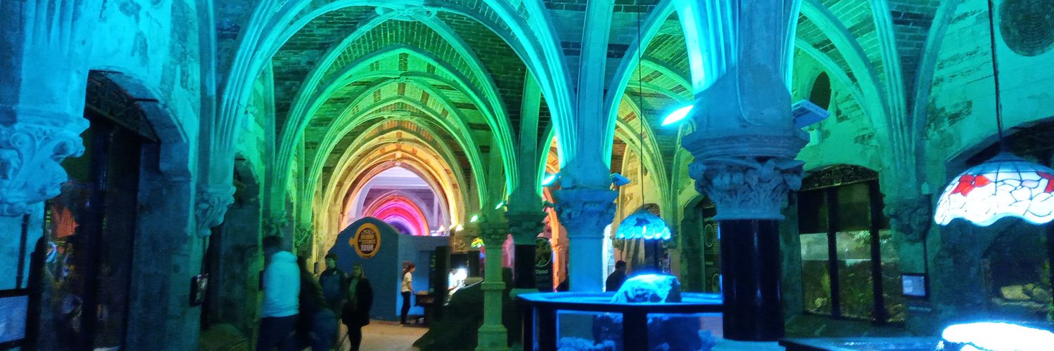 Giant Steve 🏴󠁧󠁢󠁳󠁣󠁴󠁿 banner