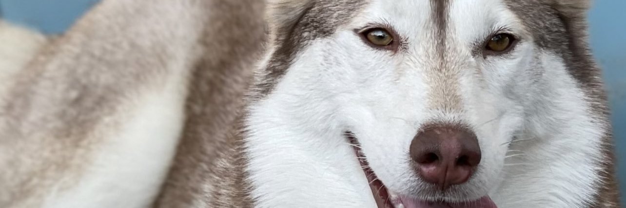 mariaquinto15's profile banner image
