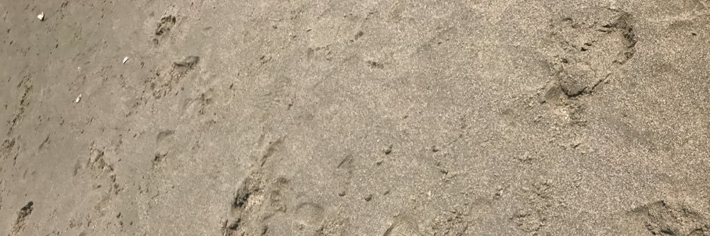 kayl_bam's profile banner image