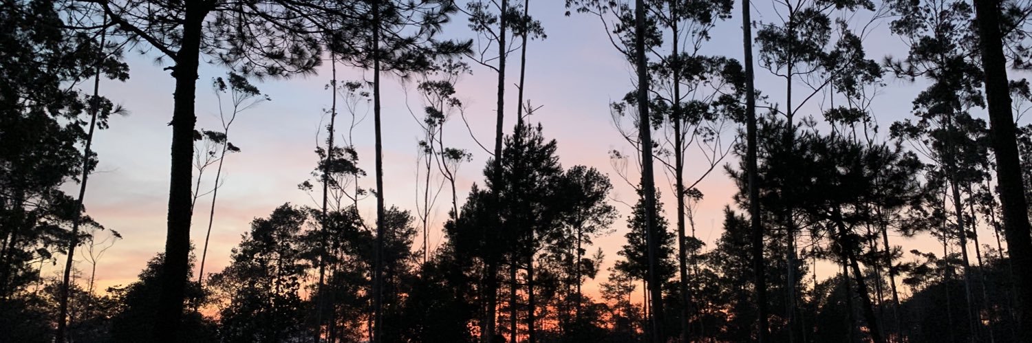 NatashaEDP's profile banner image