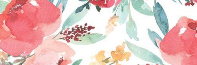 bri_schreck's profile banner image