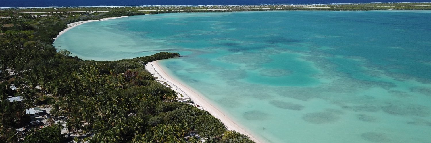 Anna Gauthier banner