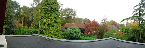 Piolito99 Profile Banner