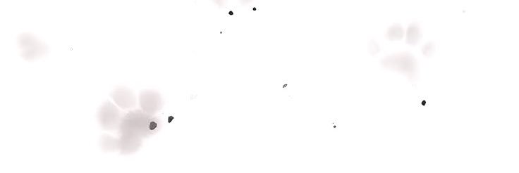myiy's profile banner image