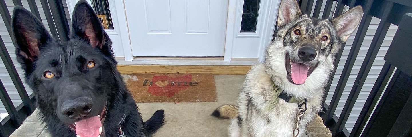 AudreyGothwell's profile banner image