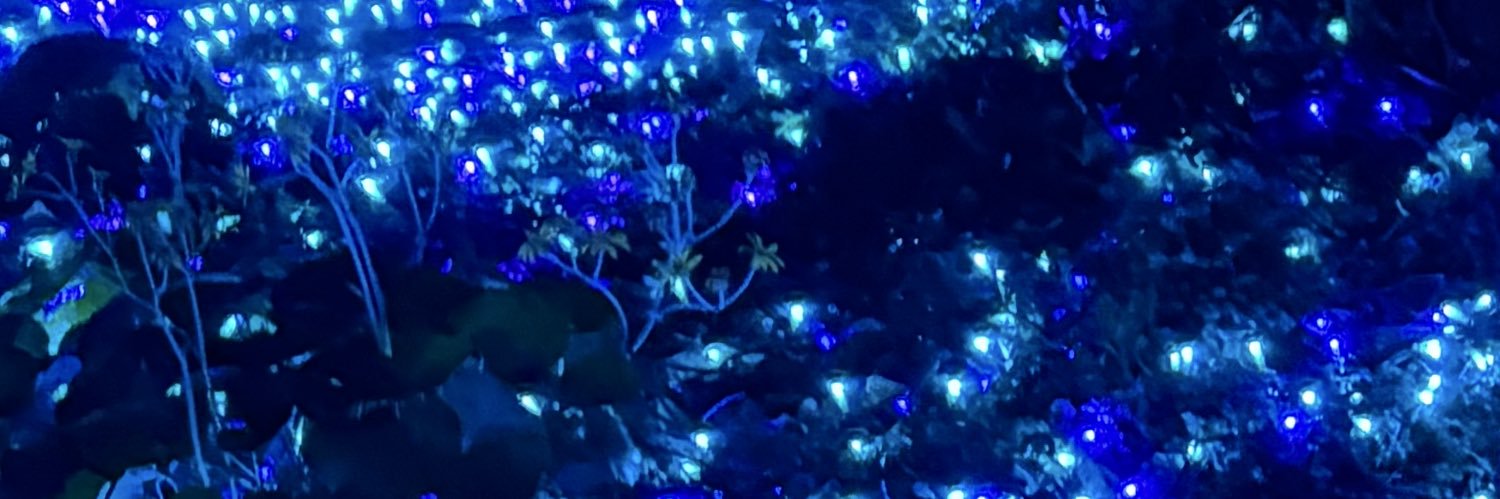 𝚃𝚂𝚄𝙱𝙰𝚂𝙰 banner