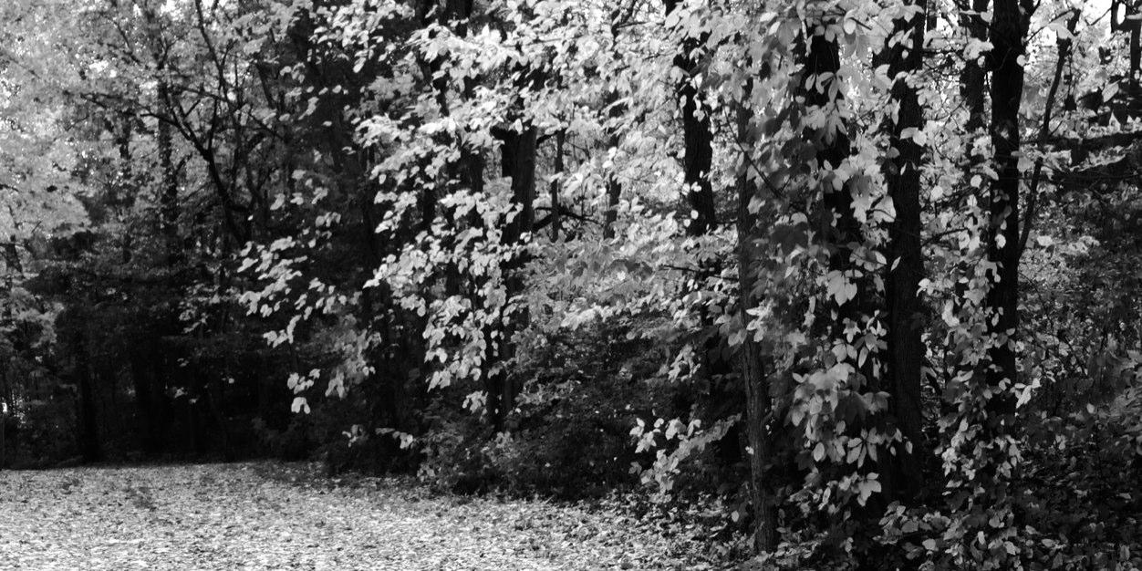 BialeckiKendall's profile banner image