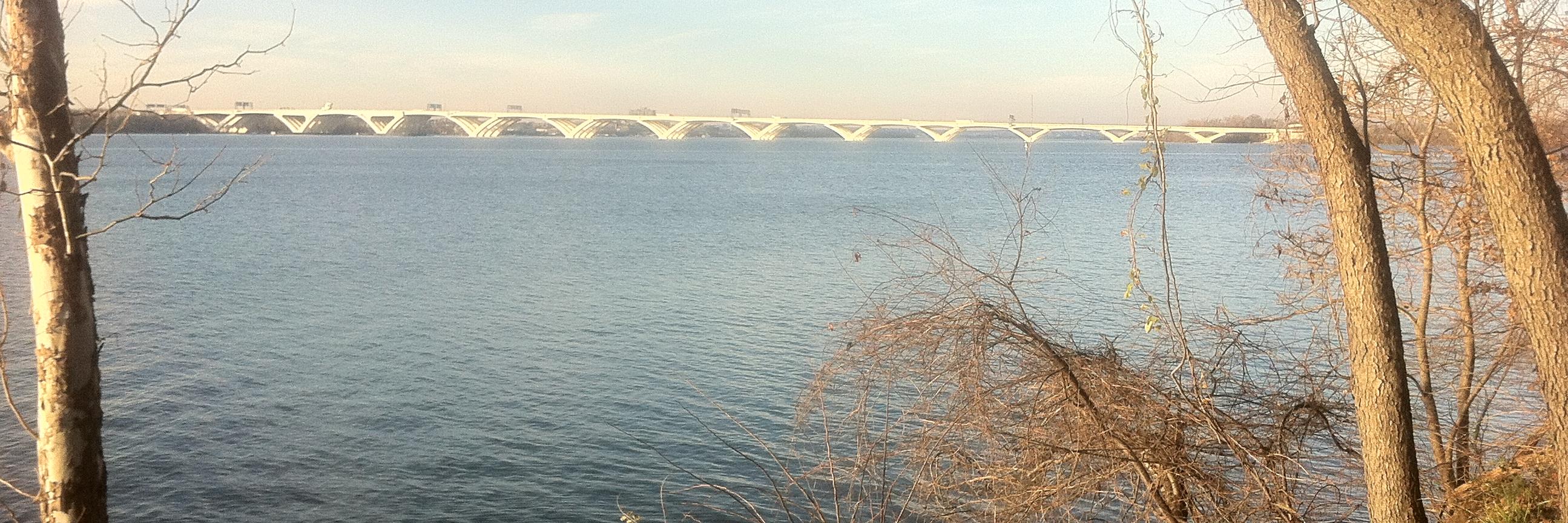 Vada O. Manager banner