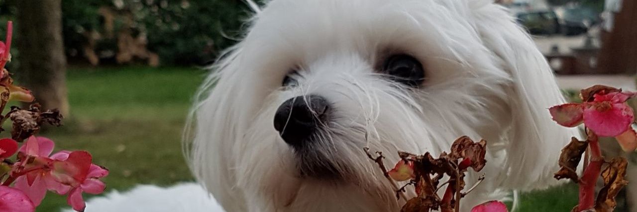 miricasali's profile banner image