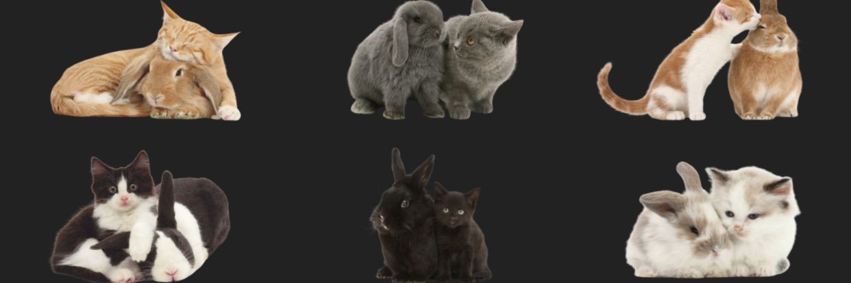 Bunny.'s banner