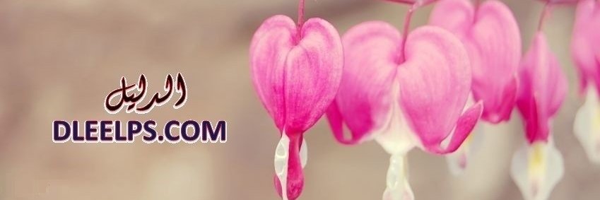 DleelpsCom's profile banner image