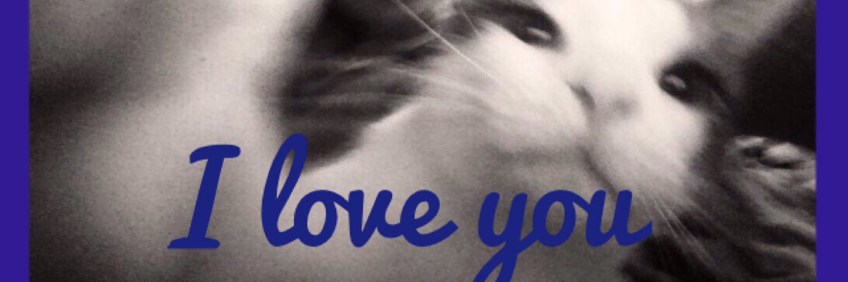 KKlayer's profile banner image