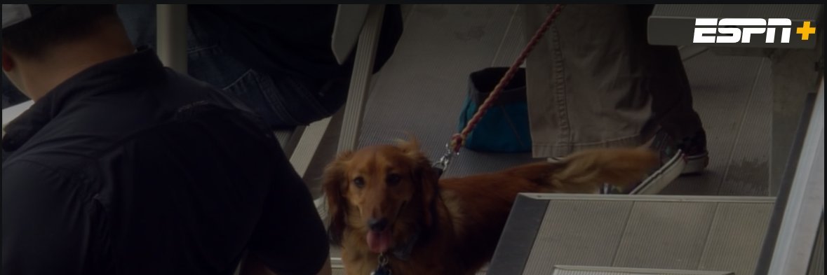 Brant Freeman banner