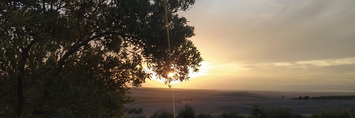 Melero banner