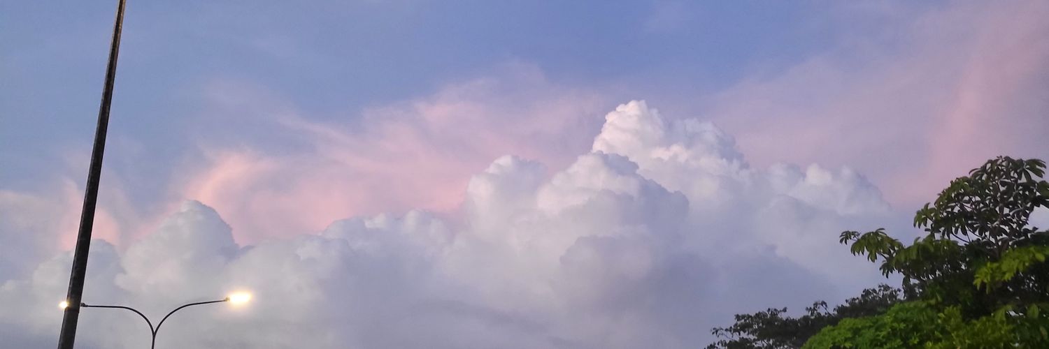 bobulu's profile banner image