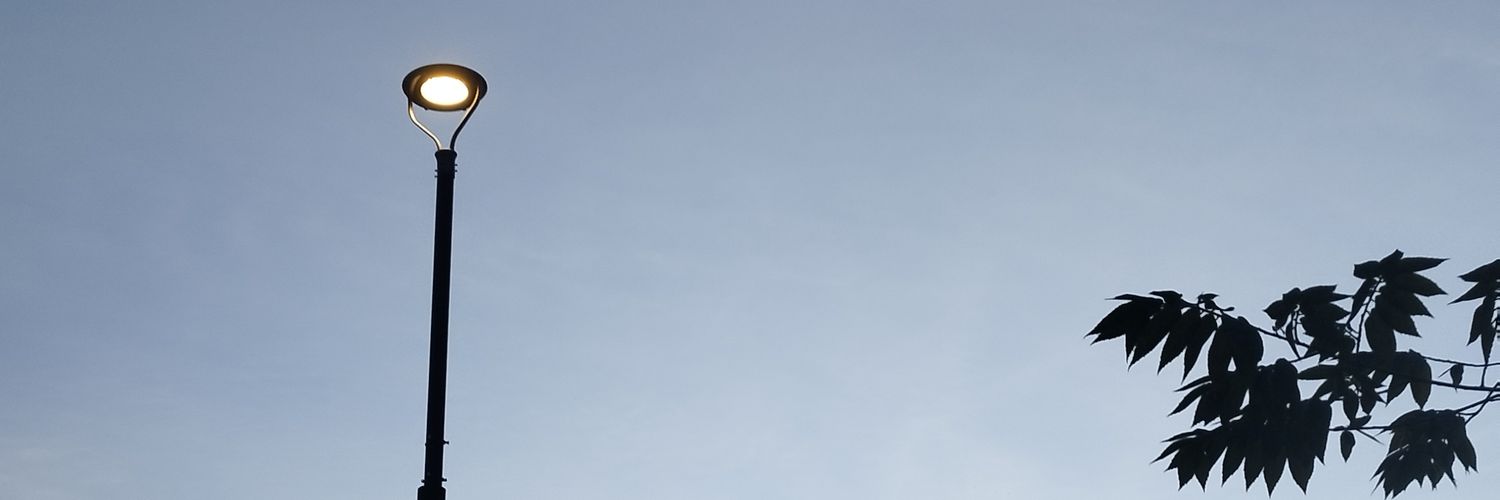 Luciana Sabatini banner