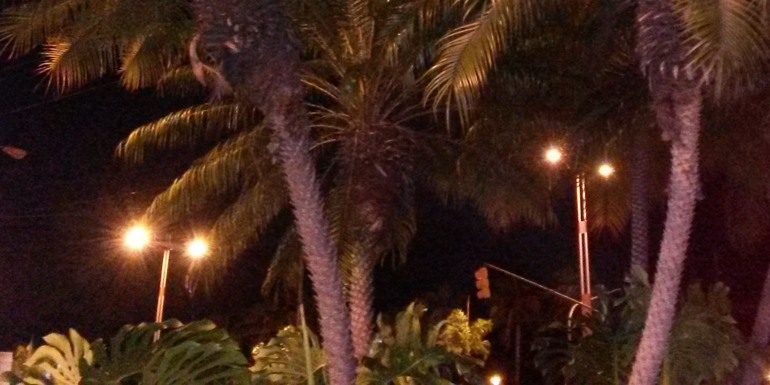 CitricoLujoso's profile banner image