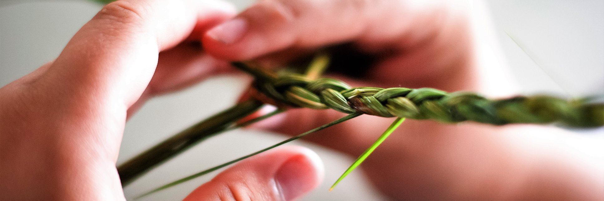 TRACKS Youth Program banner