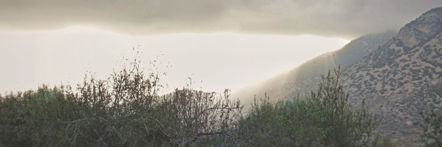 Andreu Rubert banner