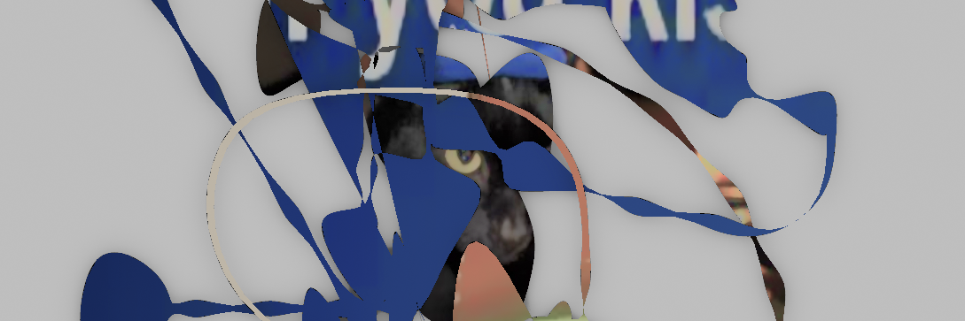 naeluh's profile banner image