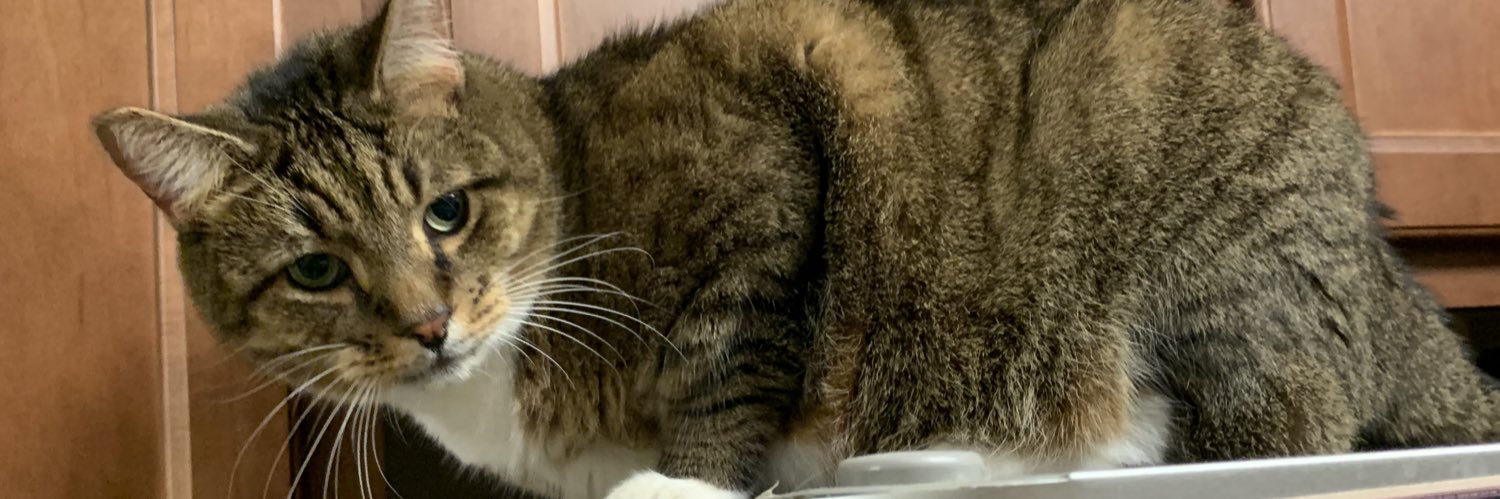 A723TM's profile banner image