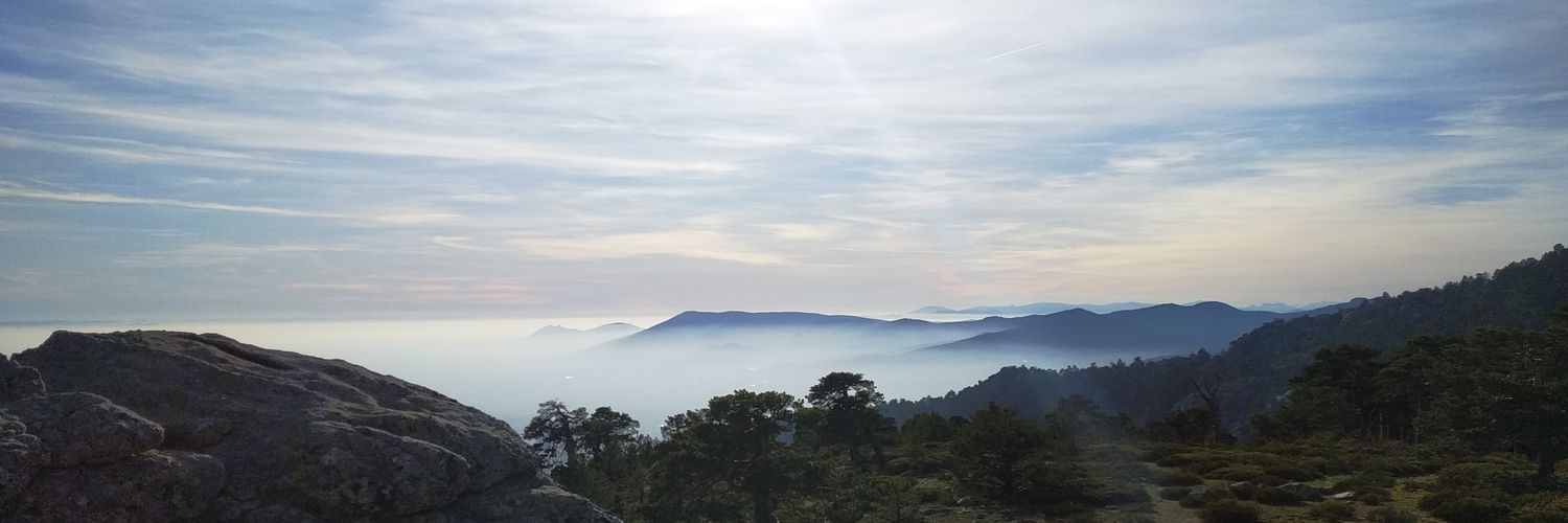 presipaco's profile banner image