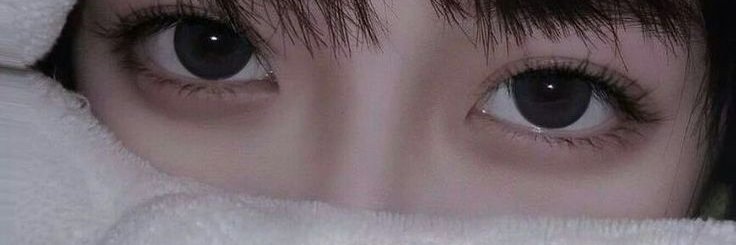 kisa banner