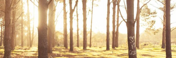JoeC Profile Banner