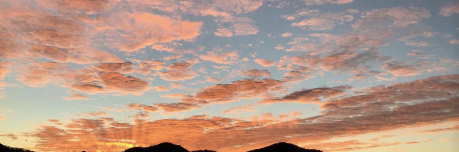 carleighbrown's profile banner image