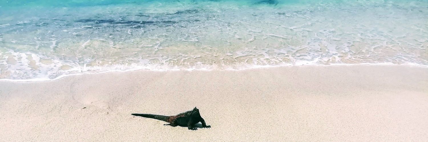 mareahate's profile banner image