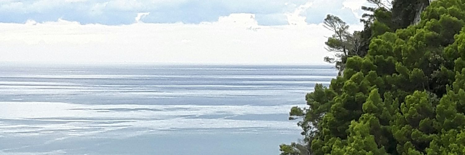 AnneKKennA's profile banner image