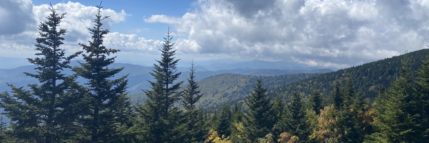 T.J. Carguillo banner