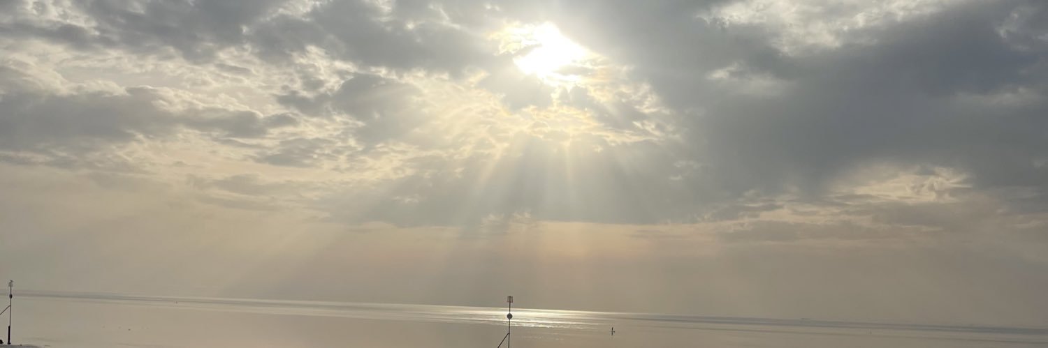 alicehagger's profile banner image
