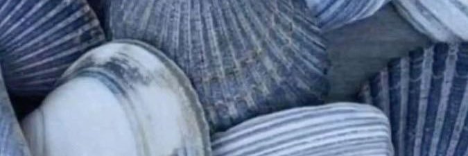 savs_thoughts's profile banner image