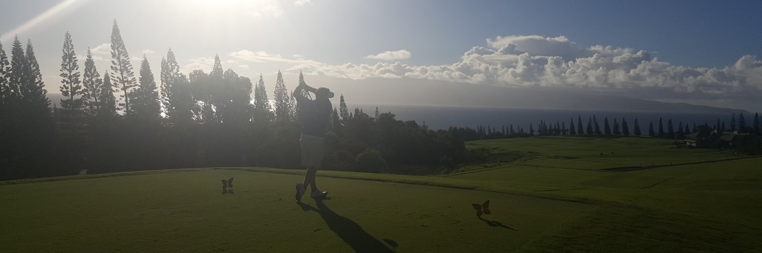 HammerDelFuego's profile banner image