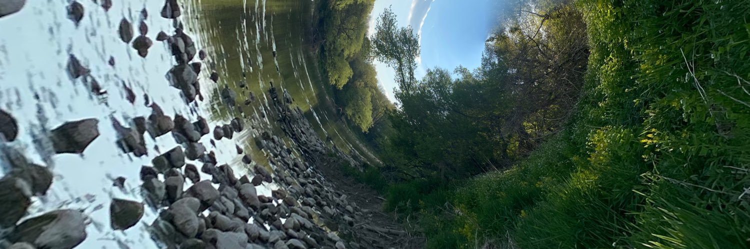 wyldrye's profile banner image