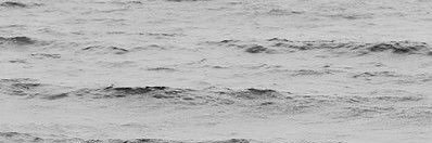 nata_uri's profile banner image