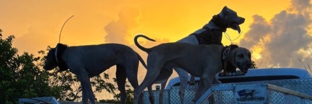 Narlax🧑‍🍳🥼 banner