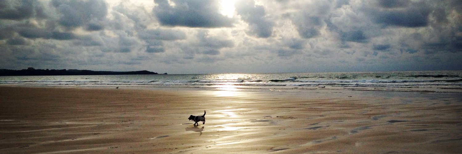 Alice Holborow banner