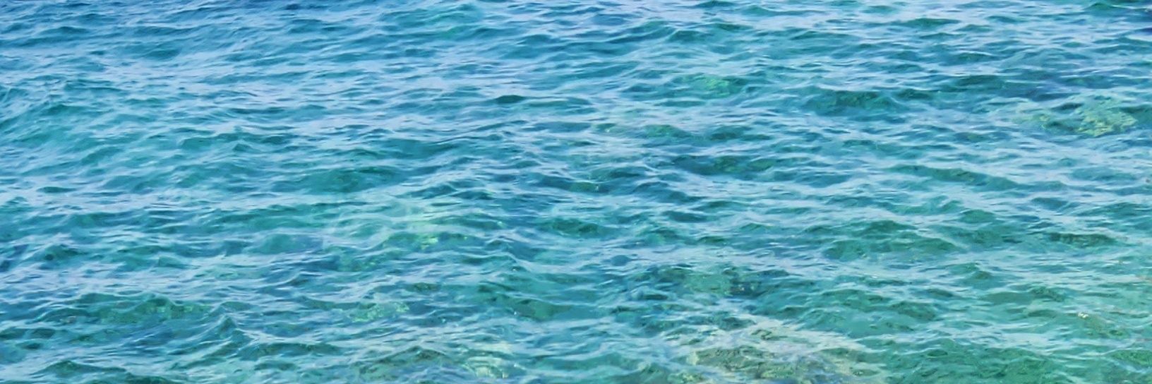 🦅Wolf Saudade 🧊🦄🐆🍁 banner