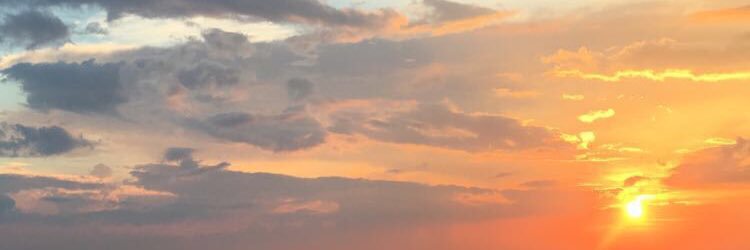 Haley_Lemonade's profile banner image