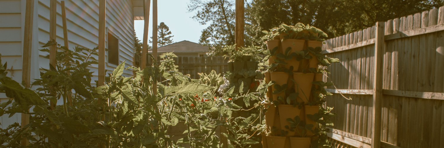 ajwinterbooks's profile banner image