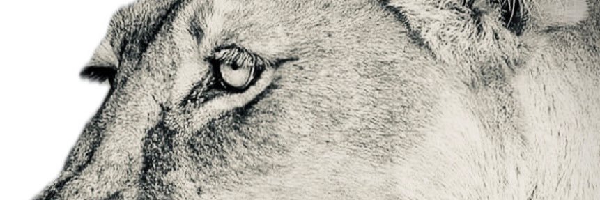 ALMOSTPACIFIC's profile banner image