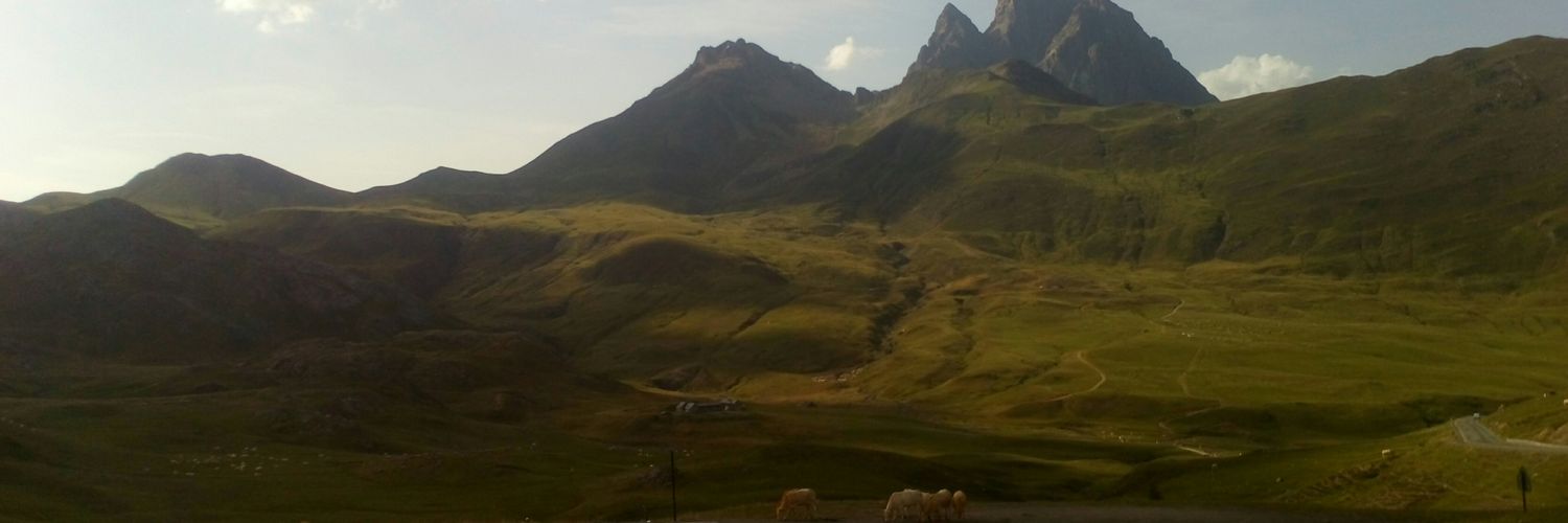 RoAlbertiGo's profile banner image