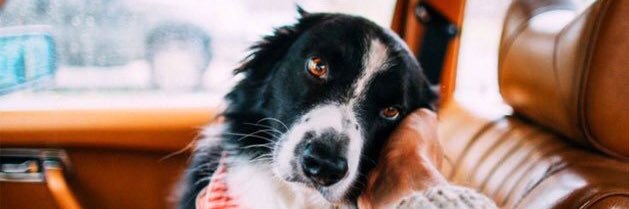 aybukealemdr's profile banner image