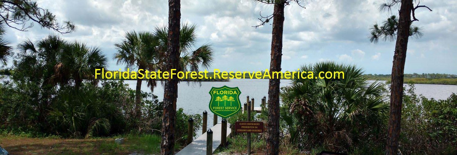 FriendsofFLForests banner