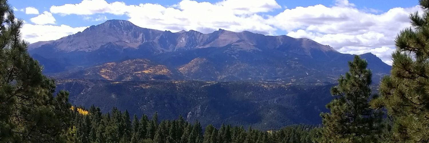 HollyHoppe's profile banner image