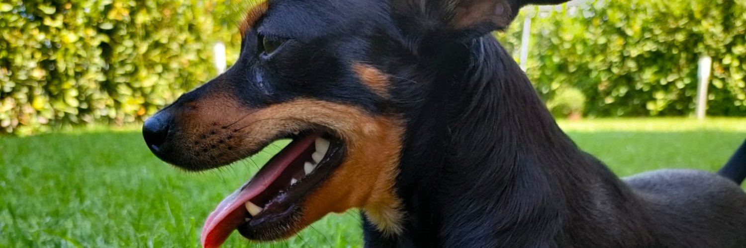 fabiovertaglio's profile banner image